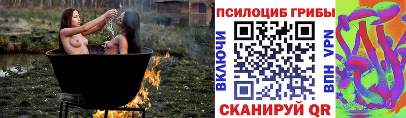 Псилоцибиновые грибы Psilocybe  Спасск-Рязанский 